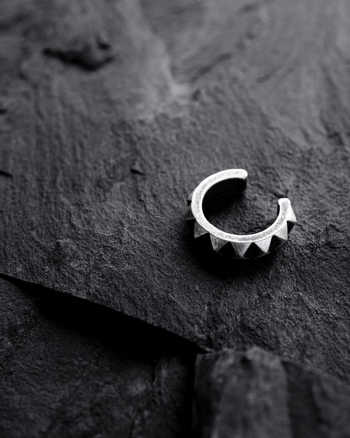 d411825923ed897ff87954edb8e8e8cc