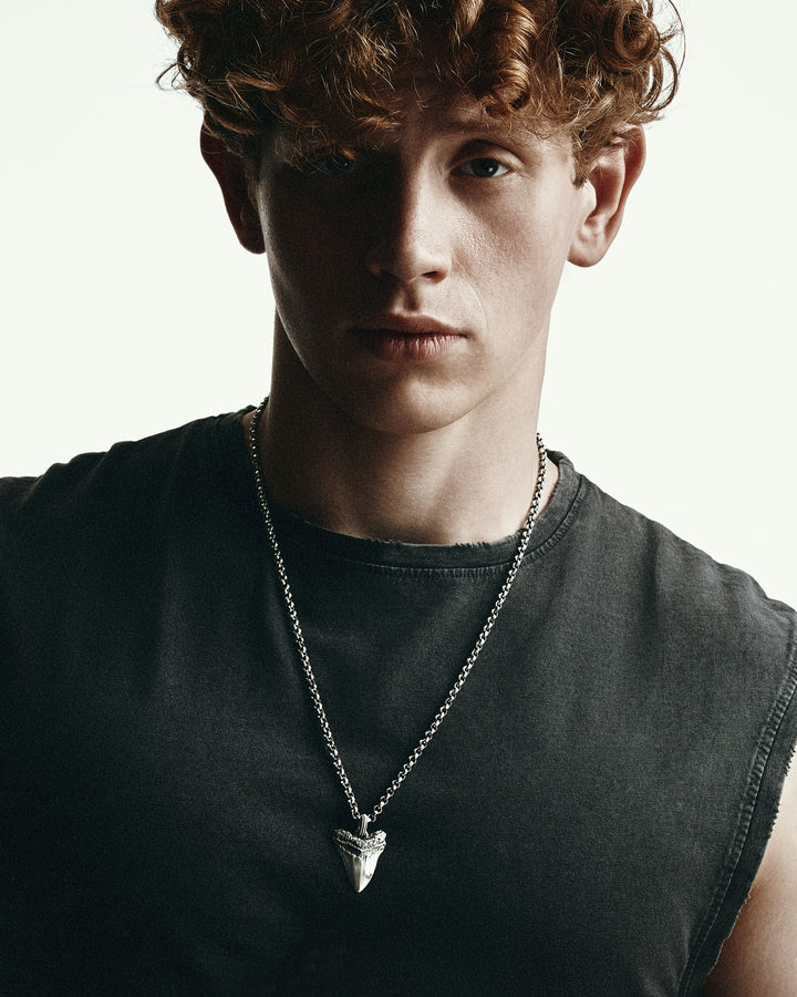 ROLLO MASSIVE silver chain