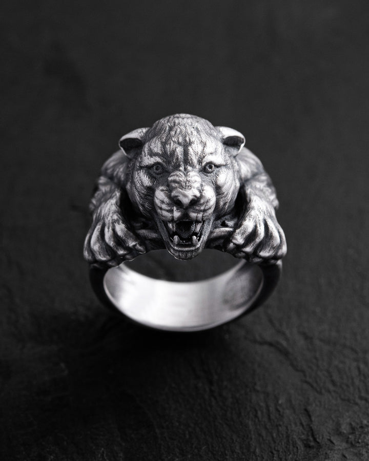 e3a2fadf3a6d9d794aa2504f95e4033b