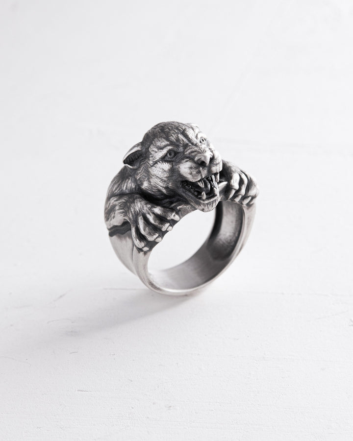 40a348b1534077ecaf8f3dd35ad0cadc