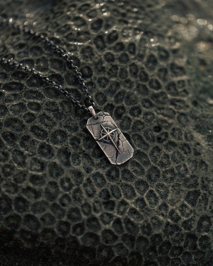 Silver token POLAR STAR