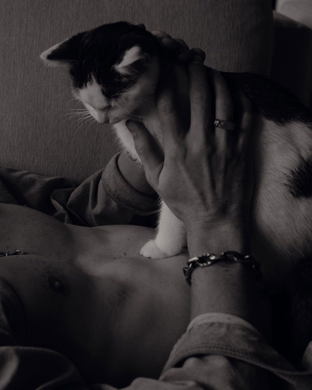 011b88555584c34ae82767854f39ffd8