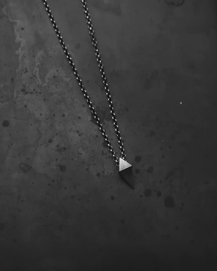 Silver pendant on a chain TEEMANT