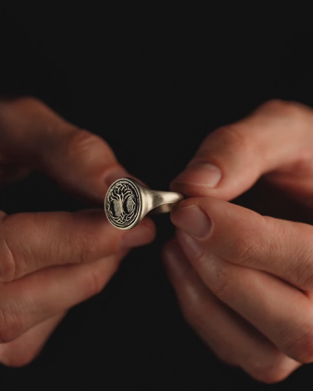 Silver ring YGGDRASIL TREE OF LIFE