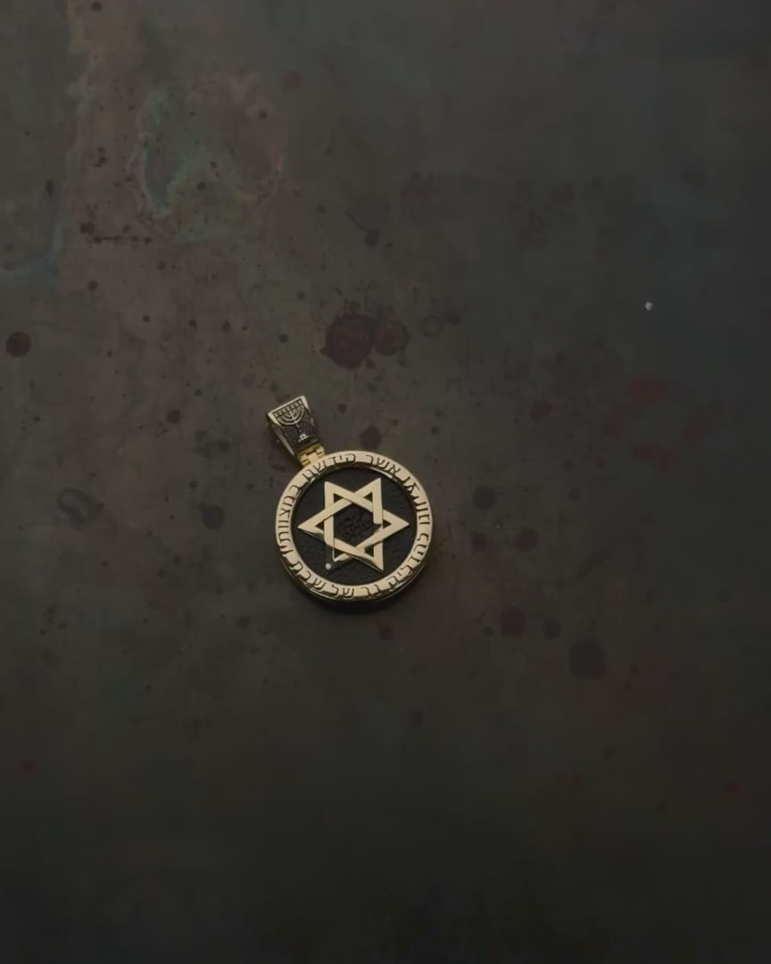 Pendant STAR OF DAVID with ebony (14k yellow gold)