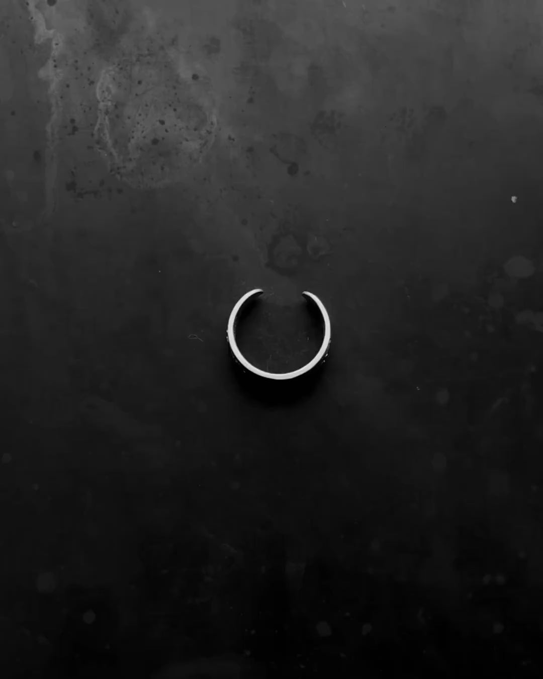 FAMILY OF ELEPHANTS silver ring