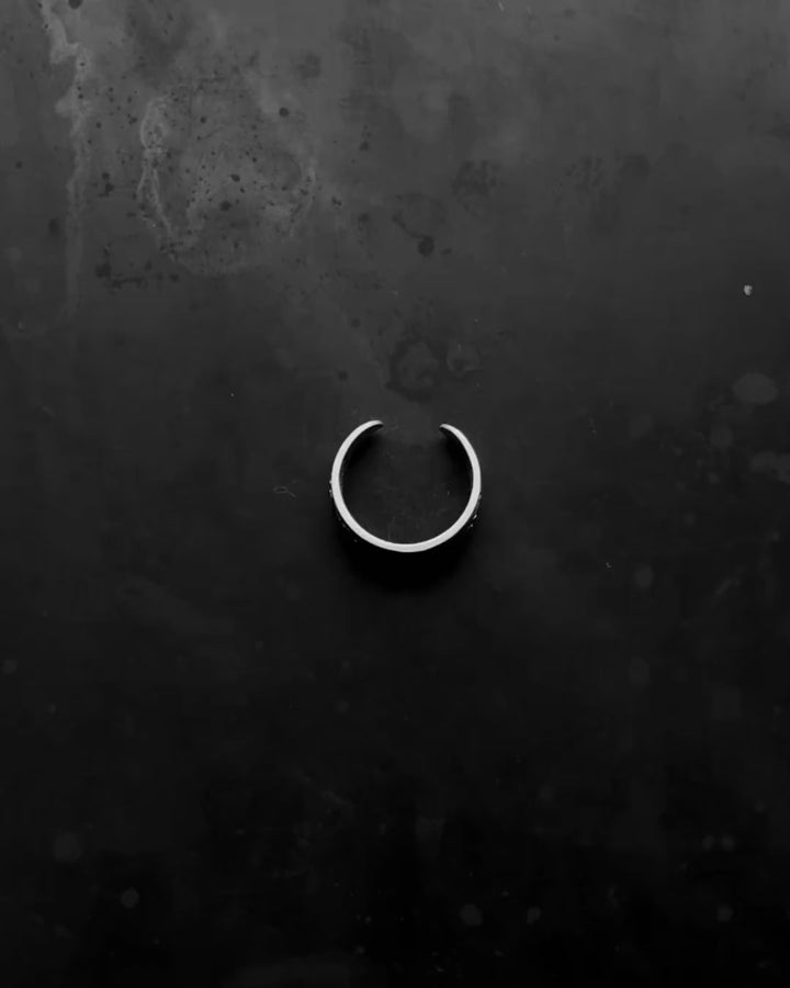 FAMILY OF ELEPHANTS silver ring