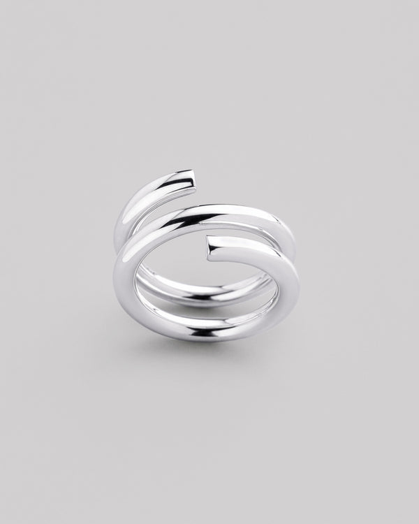 Silberring FIDENS