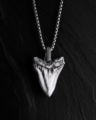 44a3b3feb5d7424efdda1169eb61c4e0