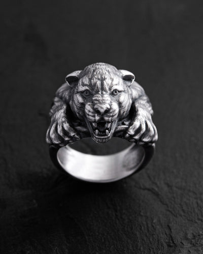 e3a2fadf3a6d9d794aa2504f95e4033b