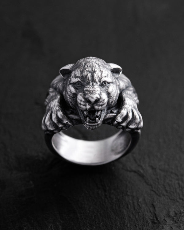 e3a2fadf3a6d9d794aa2504f95e4033b