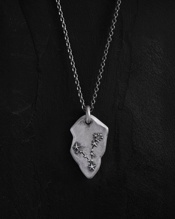 Silver pendant PISCES CONSTELLATION on a chain
