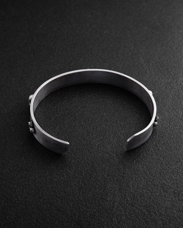 1fa530c82815575b83b0e32e5ea4008e