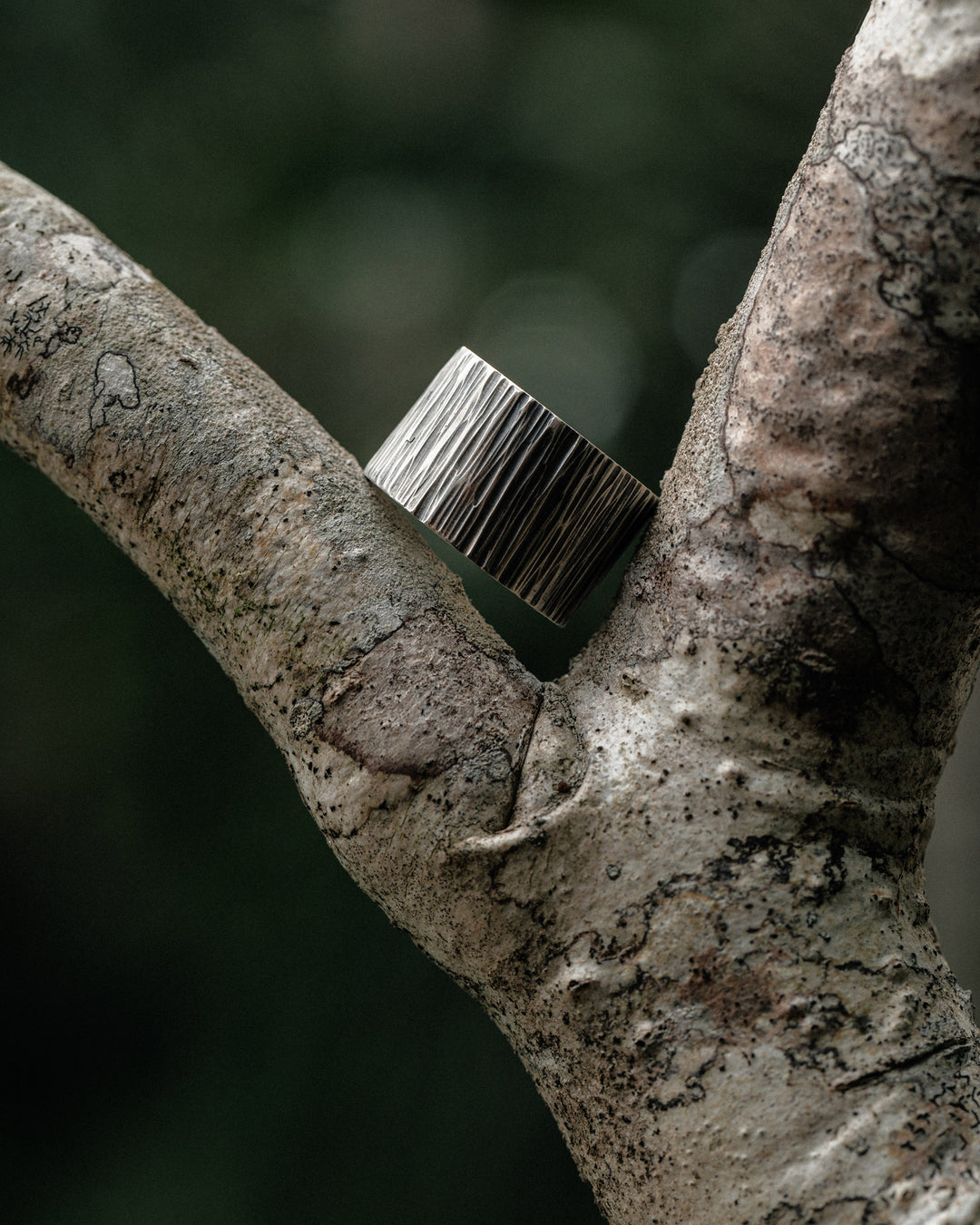 Bague en argent SKILL